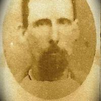 Moroni Cole (1833 - 1908) Profile